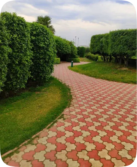 Landscaped garden path and outdoor grounds