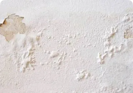 Close-up of paint peeling and flaking off a wall surface