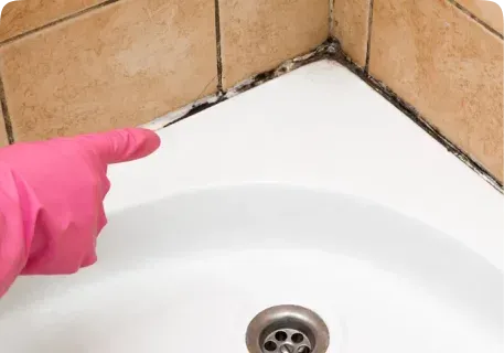 Mould around a bathroom fixture from persistent moisture