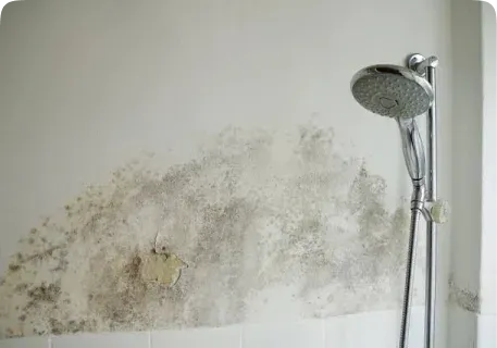 Water damage staining a bathroom wall