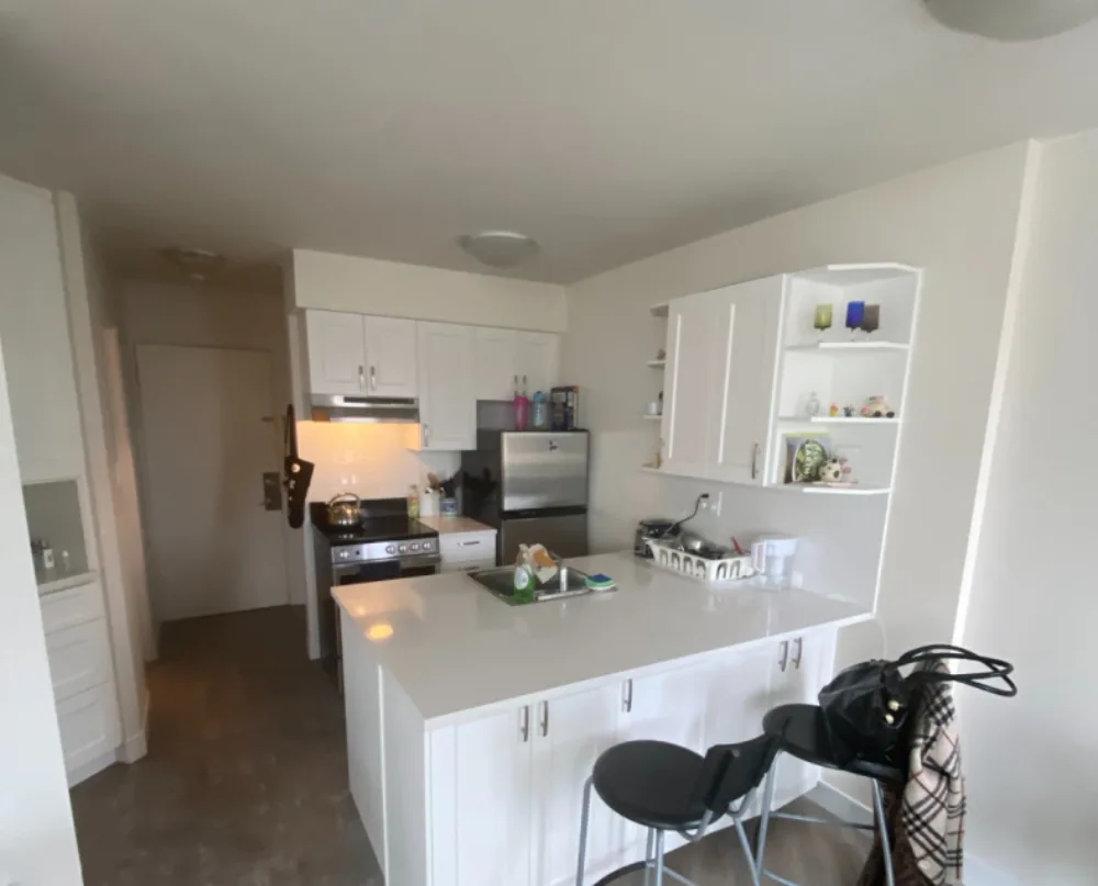 Surrey — Kitchen Renovation